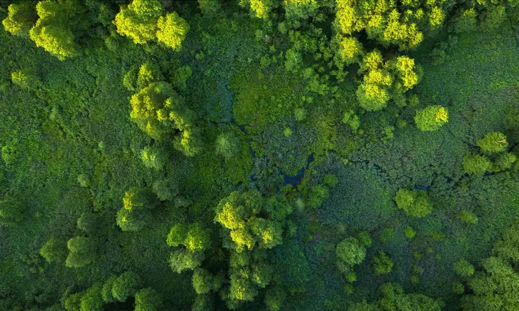 levitex sustainability